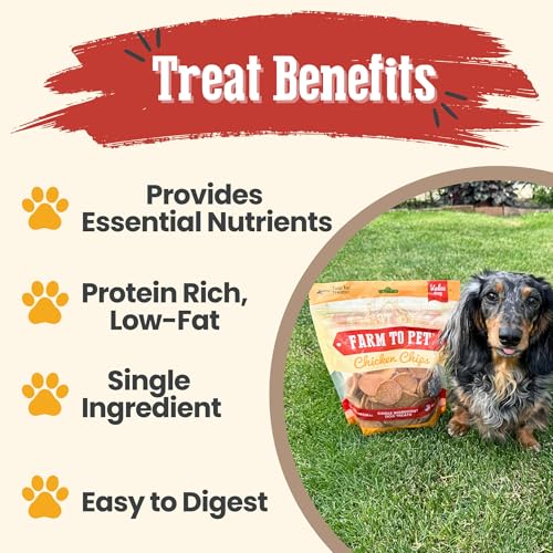 Dog Treats Chicken Chips (12 Ounce (Pack of 1))