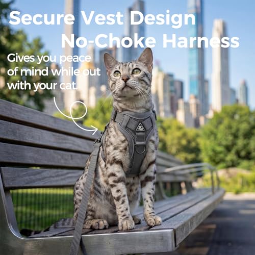 Cat Harness and Leash Set (Grey / Medium)