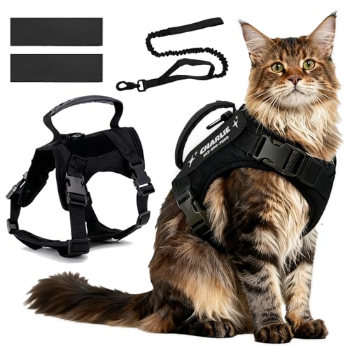 Tactical Cat Harness Black Custom Patch Escape Proof 12