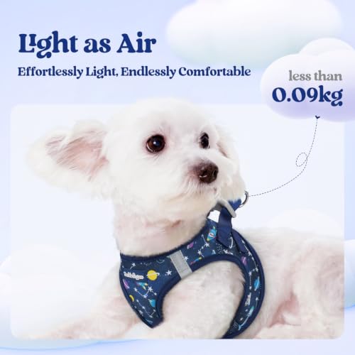 Dog Harness Small Sized and Leash Set (Navy Space Pups / Xs (chest: 13.3 - 15.5"))