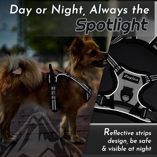 Dog Harness for Small Dogs (X-Small / Grey)