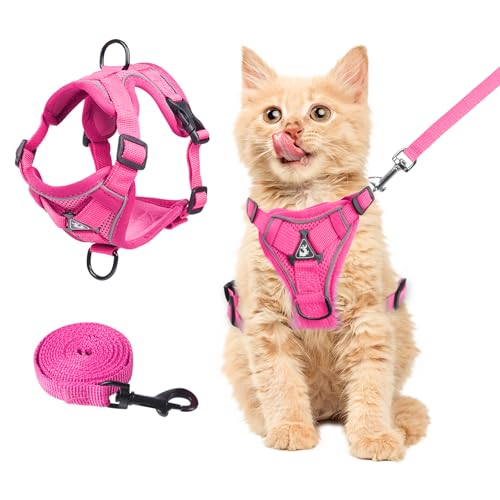 cat Chest Harness and Leash (rose red / S:3.3-6.6lb)