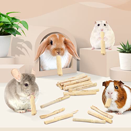 700g 1.5Ib Sweet Bamboo Chew Sticks for Rabbits (1.54 Pound (Pack of 1))