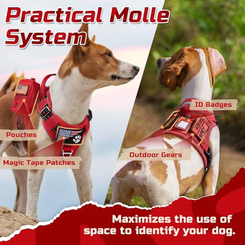 Tactical Dog Harness for Medium (Red / Medium)