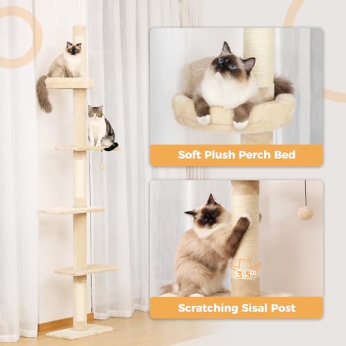 5 Tier Floor to Ceiling Cat Tree (61'' / Beige Single)