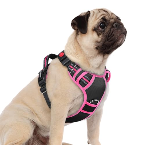 Dog Harness Small Sized (Black & Pink / Small)