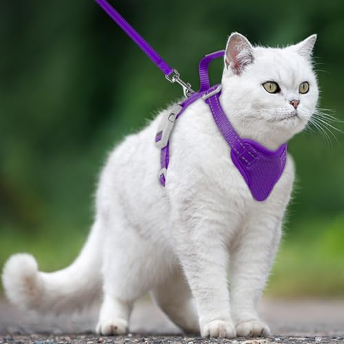 Cat Harness and Leash Set Escape Proof for Kitten Walking (XX-Small / Purple)