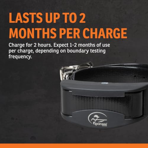 Rechargeable In (1 Dog System)