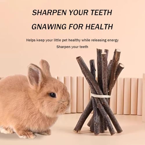 Types of Combined Chew Toys Molar Sticks Sweet Bamboo Apple Branch Timothy Grass for Pets Chinchilla Squirrel Gerbil Hamster Squirrel Guinea Pigs 400 Grams (400g)