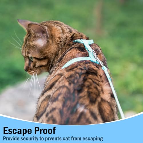 Adjustable Cat Harness and Leash Set Escape Proof Kitten Strap Collar for Walking Travel (Medium / Sky Blue)