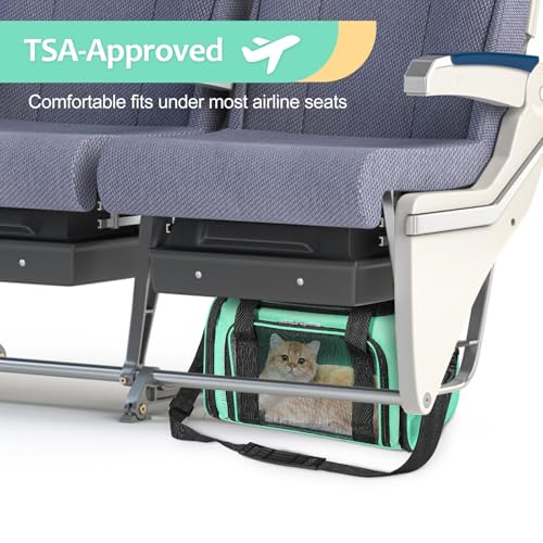 Cat Dog Carrier Up to 15 Lbs TSA Airline Approved Pet Carrier for Small Medium Cats Puppies Dog Carriers for Small Dogs Collapsible Soft Sided Cat Travel Carrier (15.8"L x 10.2"W x 10.2"H / Green)
