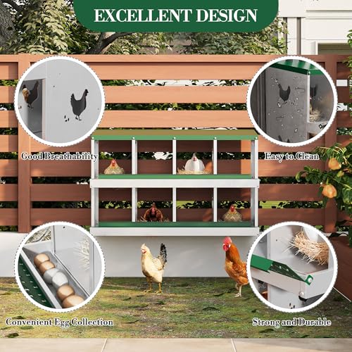 8 Hole Chicken Nesting Box with Roll Out Egg Tray