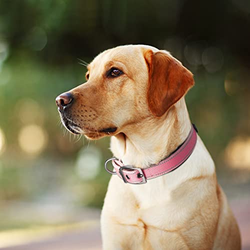 Heavy Duty Dog Collar for Large Dogs with Metal Belt Buckle (Large(19"-23") / Pink)