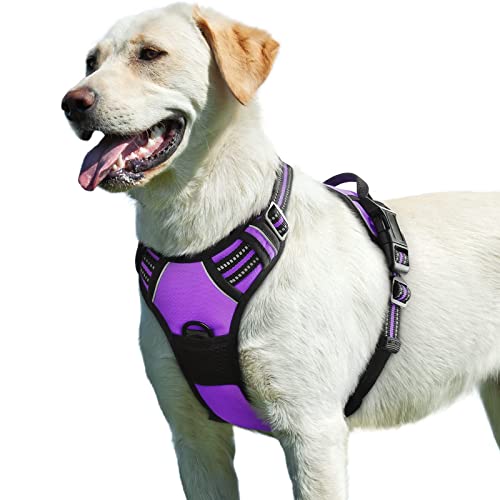 Dog Harness for Large Dogs (Large / Purple)