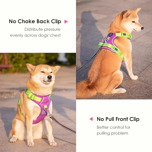 No Pull Dog Harness (Purple Base & Green Straps / Small)