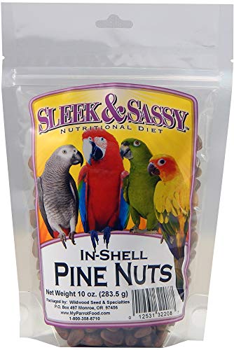 Pine Nuts for Birds (1 Count (Pack of 1))