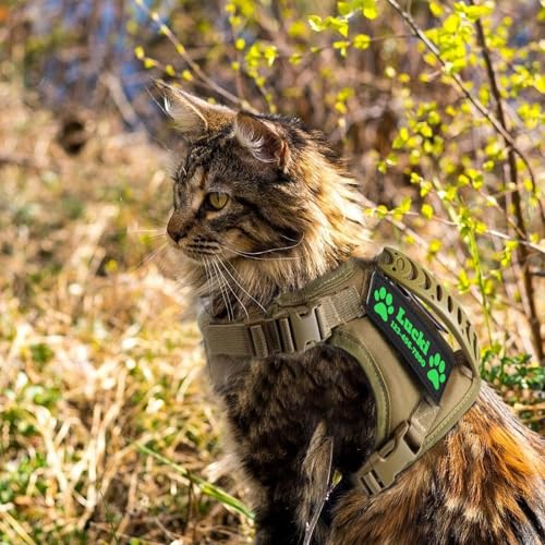 Tactical Cat Harness for Large Cats with Patches (Black)