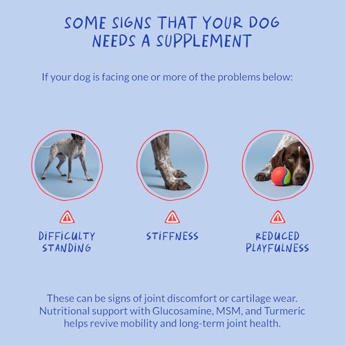 Hip and Joint Chews for Dogs