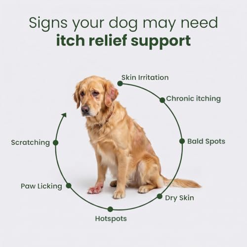Itch Relief Chews for Dogs