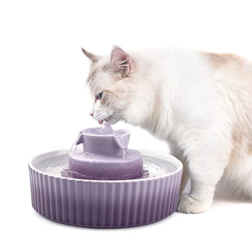 Cat Water Fountain