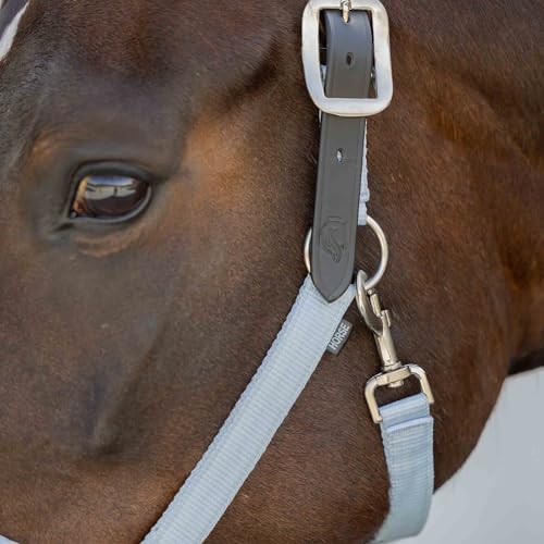 Loki Nylon Horse Halter (Sweet Blue / Pony)
