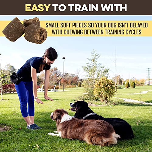 Natural Peanut Butter & Banana Dog Training Treats (1 Pound (Pack of 1))