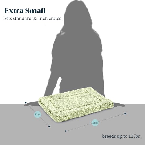 Stoutwool Indestructible Dog Bed (21.0"L x 12.0"W x 2"Th / Gleam)
