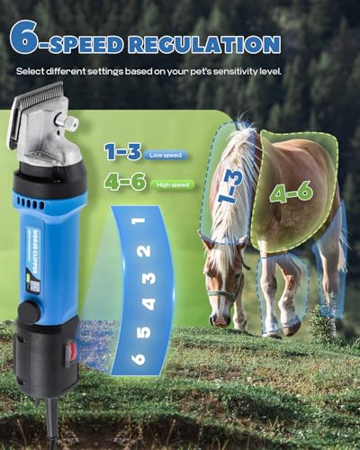 Horse Clippers 690W 28000RPM (Blue& 1Blade)