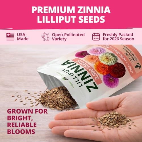 Zinnia Seeds Lilliput Mix