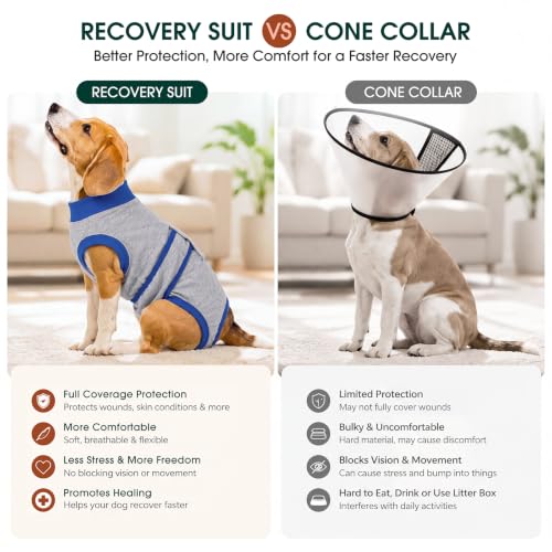 Recovery Suit for Dogs Cats (X-large (Back:20.1-24.8'', Weight:42-75 Lb) / Gray Sapphire)