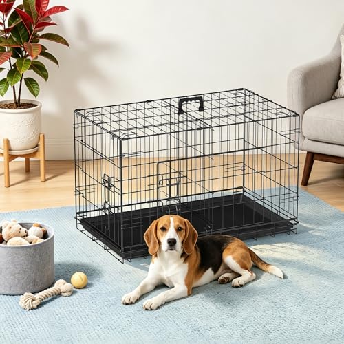 30" Foldable Metal Dog Crate (Black)