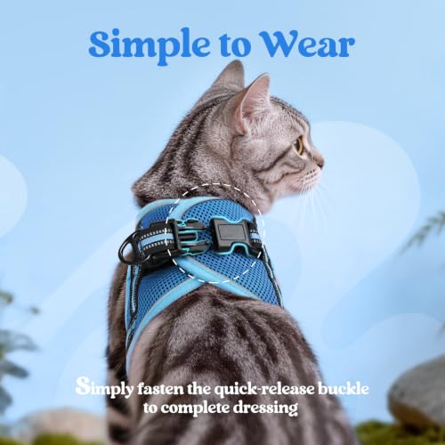Cat Harness and Leash Set (M / Blue & Light Blue)