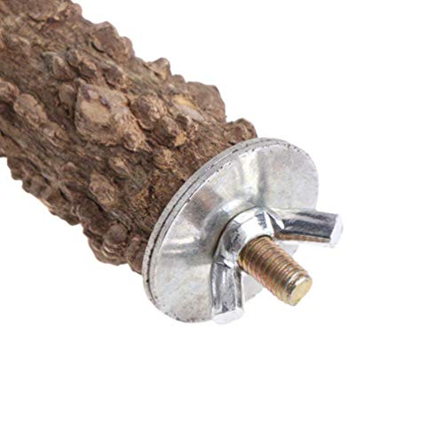 Natural Prickly Ash Wood Perch Bird Paw Grinding Stand (11.79 inch)
