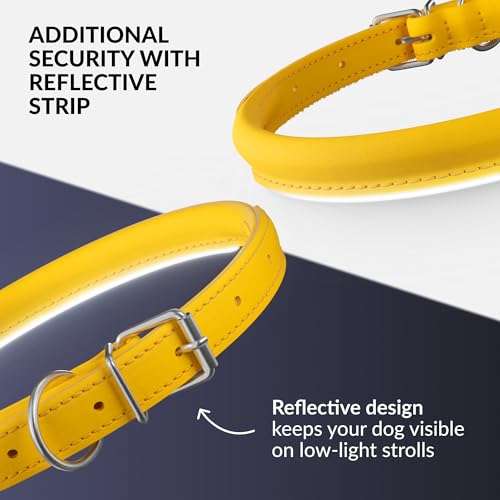 Tangle Free Reflective Leather Dog Collar (Yellow / L)