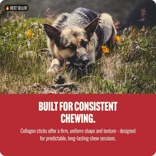 Odor Free Super Braided Collagen Dog Chews (6" Braided - 5 Count)