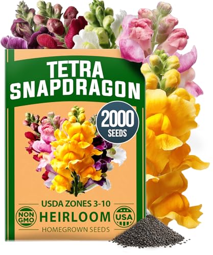 Snapdragon Seeds