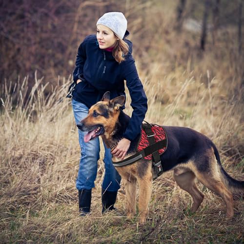 Dog Harness Reflective No (Zebra Black/Red / Girth 22" to 28")