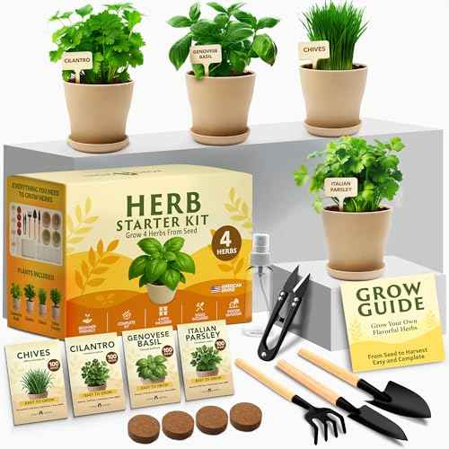4 Herb Indoor Garden Kit