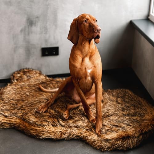 Faux Fur Orthopedic Dog Bed (Brown / Medium)
