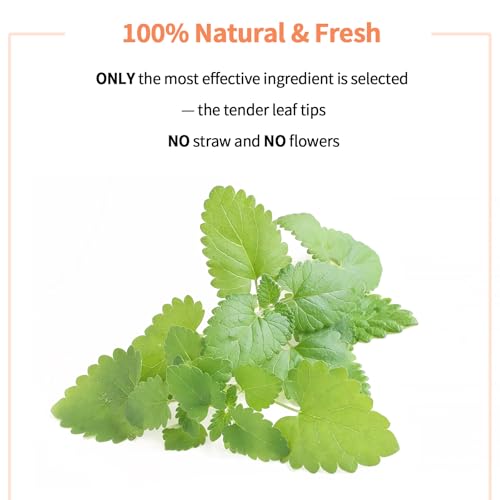 Premium Catnip for Cats & Kittens (45g)