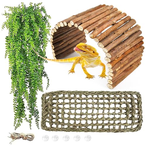 Reptile Wooden Bridge