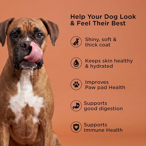Skin + Coat Care Salmon Dry Dog Food (22 Pound (Pack of 1))