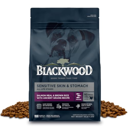 Sensitive Premium Dry Dog Food (Salmon Meal & Brown Rice with Ancient Grains / 10 Pound (Pack of 1))