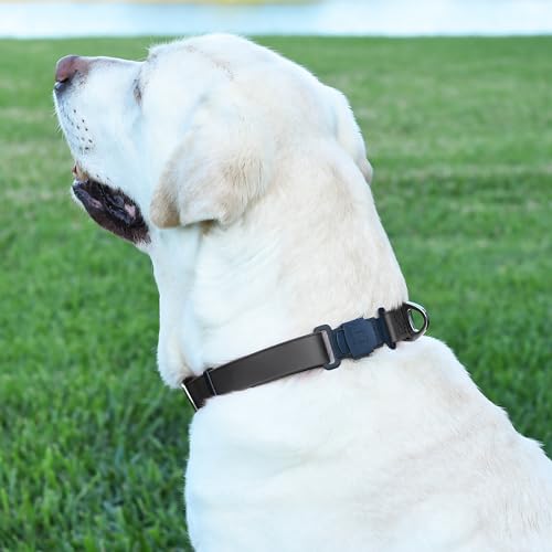 Biothane Waterproof Dog Collar with Herm Sprenger Stainless Steel Quick Release Buckle (W 3/4" x L 12"-19" / Black)