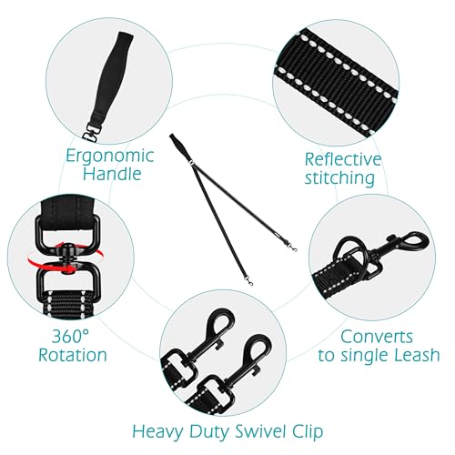 Two Point Control Dog Leash (Black)