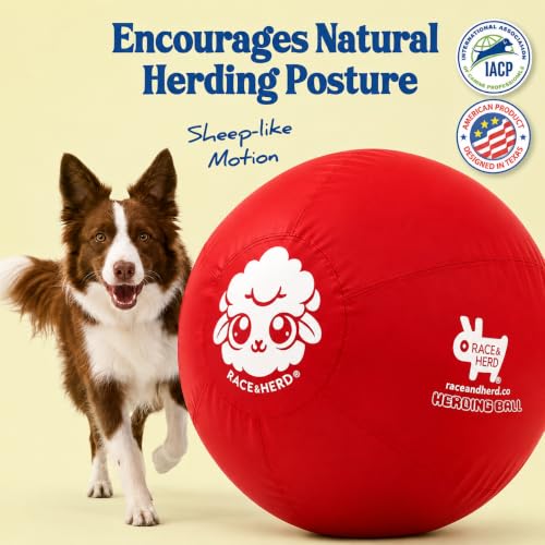 22" Herding Ball for Dogs Tetherball Set Outside (Cherry - 22" Tether Ball / Tether)