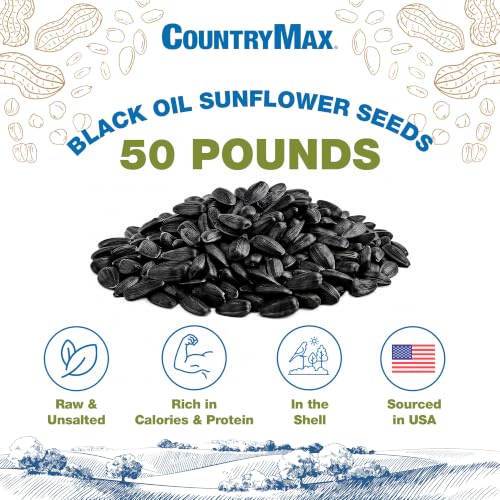 50lbs Backyard Seeds Black Oil Sunflower Seeds (Black Oil Sunflower Seed / 50 Pound (Pack of 1))