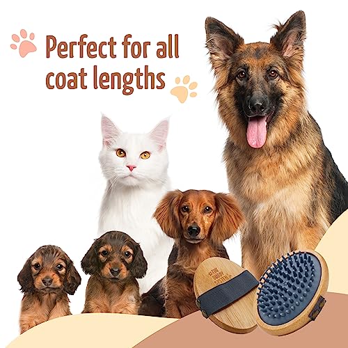 Pet Close Brush (1-pack / Rubber Bristle - Gray)