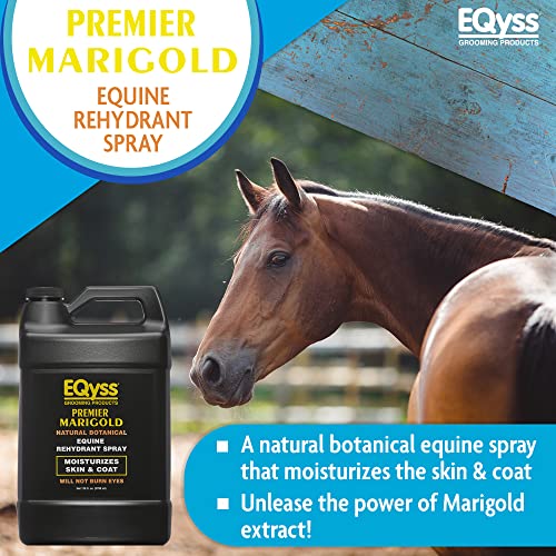 Premier Marigold Equine Coat Conditioning Spray (128 Ounce (Pack of 1))
