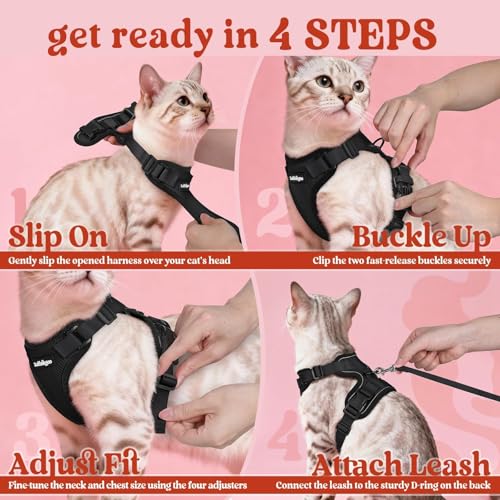 Cat Harness and Leash Set (Xs / Black)